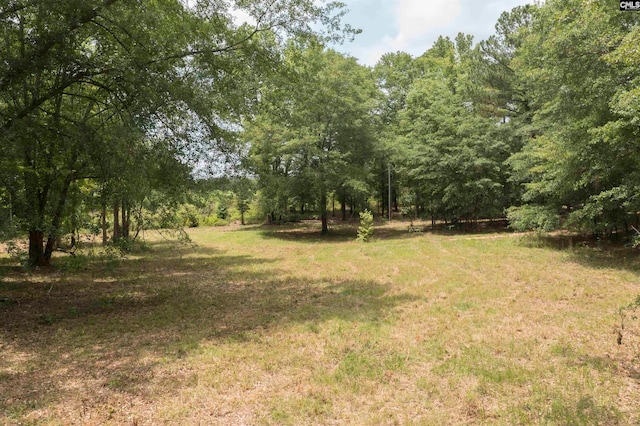 Listing photo 2 for 117 Glover Rd, Pelion SC 29123