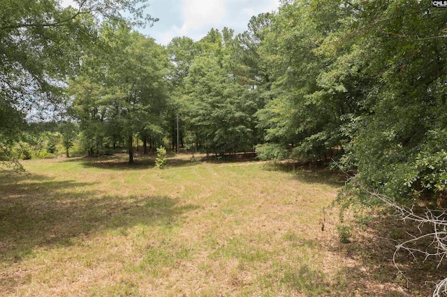 Listing photo 3 for 117 Glover Rd, Pelion SC 29123