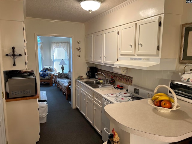 kitchen with premium range hood, electric range, white cabinets, dark colored carpet, and sink