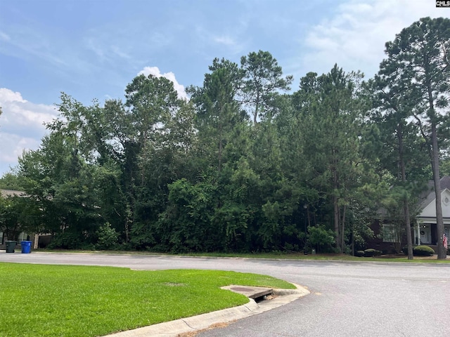 200 Deer Xing, Elgin SC, 29045 land for sale