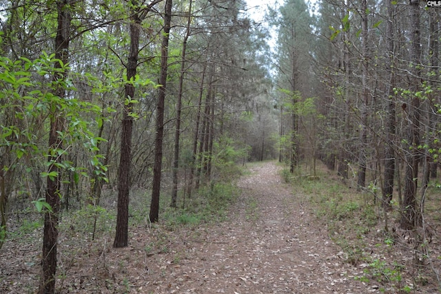 Listing photo 3 for 1309 Farming Creek Rd, Irmo SC 29063