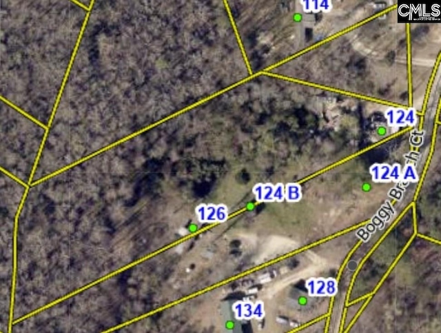 124 Boggy Branch Ct, Gaston SC, 29053 land for sale