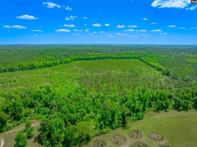 361 Sweet St Lot 6, Rembert, SC 29128