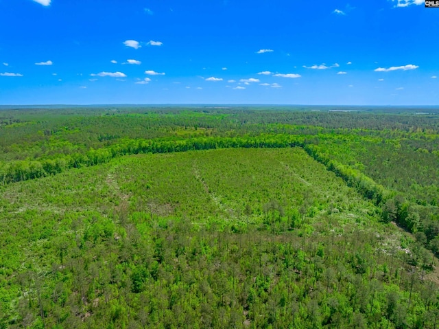 361 Sweet St Lot 6, Rembert, SC 29128