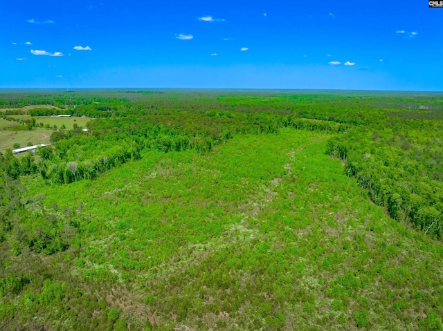 361 Sweet St Lot 6, Rembert, SC 29128