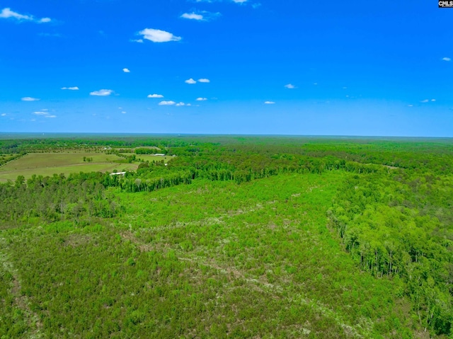 361 Sweet St Lot 6, Rembert, SC 29128