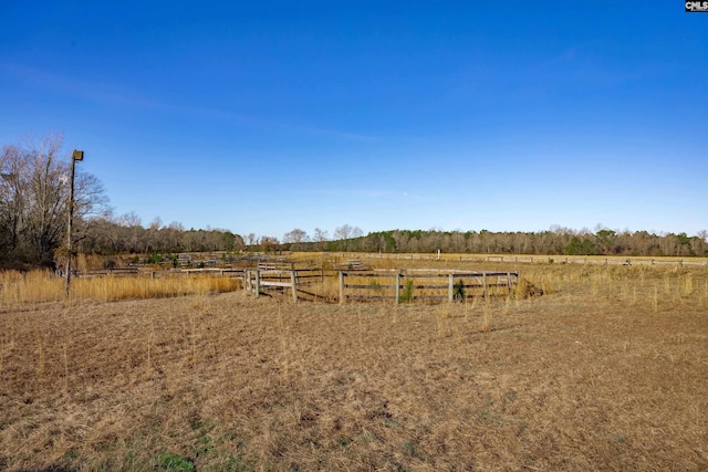 view of yard with a rural view