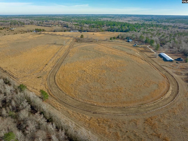 drone / aerial view featuring a rural view