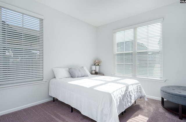 bedroom with carpet flooring