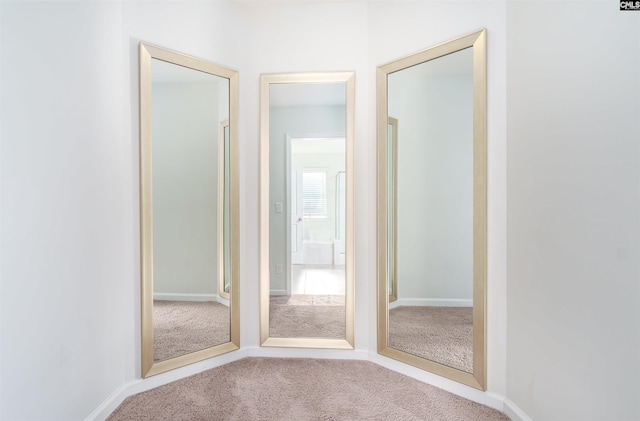 interior space with light colored carpet