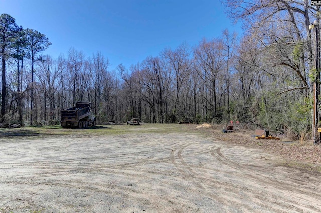230 Wildlife Rd, Lexington, SC 29072 - view of yard