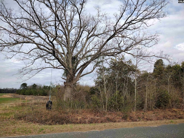 Millers Pond Rd Unit 7, Wagener SC, 29164 land for sale