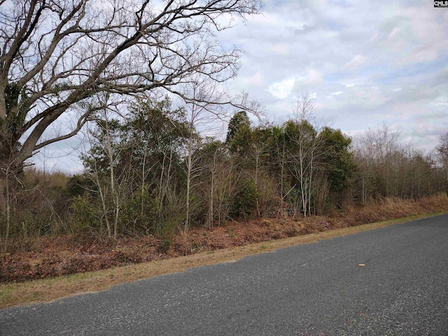 Listing photo 2 for Millers Pond Rd Unit 7, Wagener SC 29164