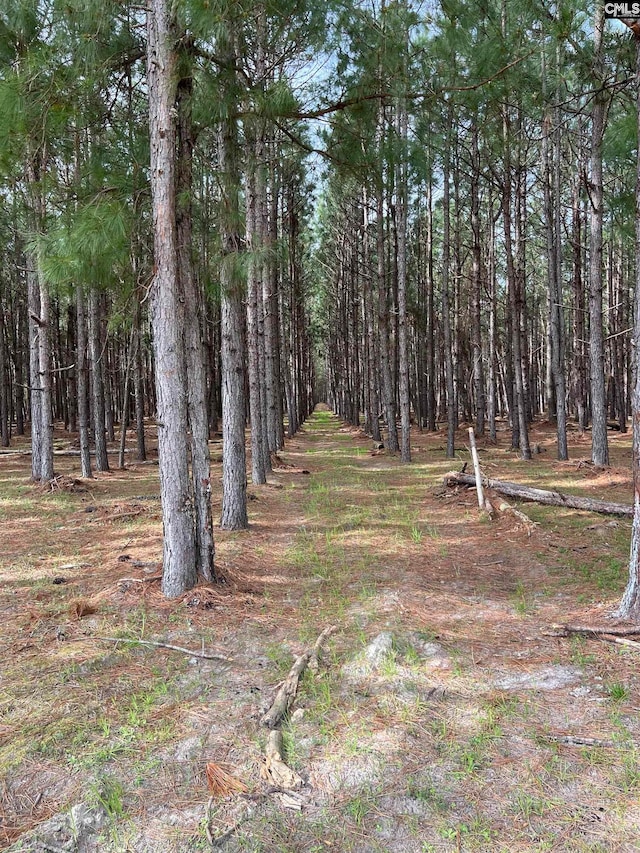 5684 Moses Dingle Rd, Manning SC, 29102 land for sale