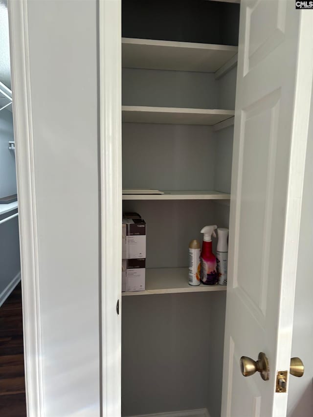 view of closet