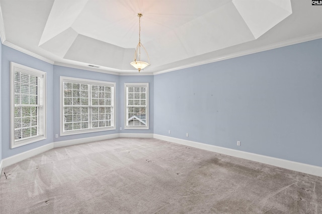 carpeted empty room with ornamental molding and a tray ceiling