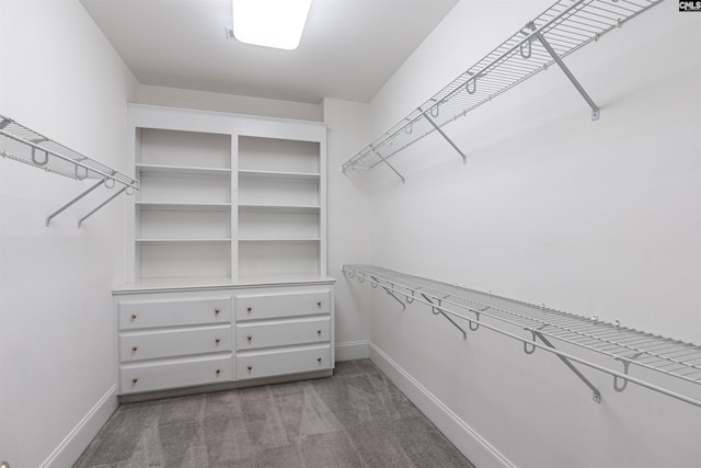 spacious closet with carpet