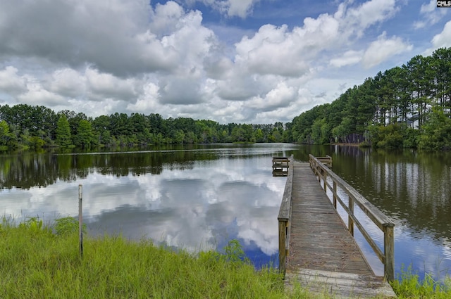 dock area featuring a view of trees and a water view