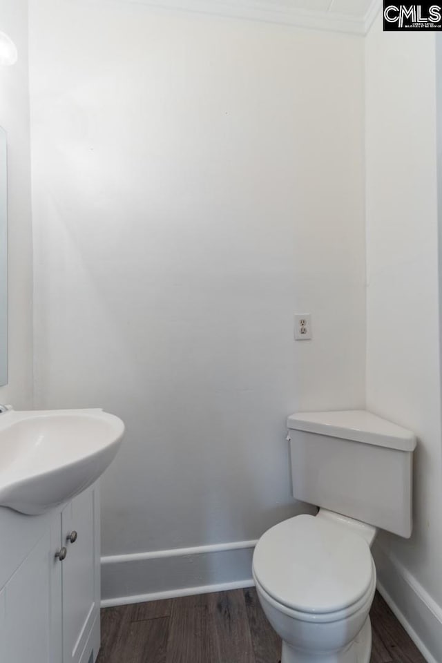 bathroom featuring toilet, vanity, and wood-type flooring