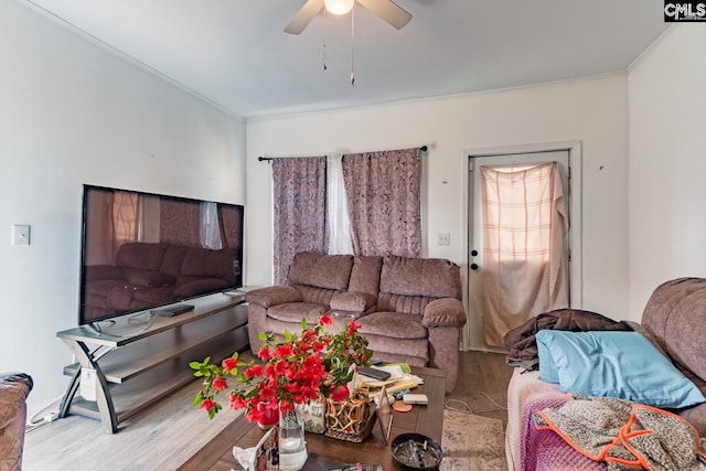 living room with ceiling fan, light hardwood / wood-style flooring, and ornamental molding