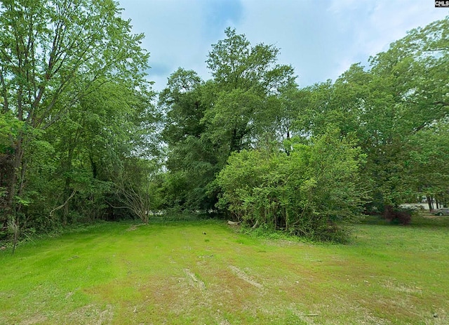 415 Gallman St, Newberry SC, 29108 land for sale