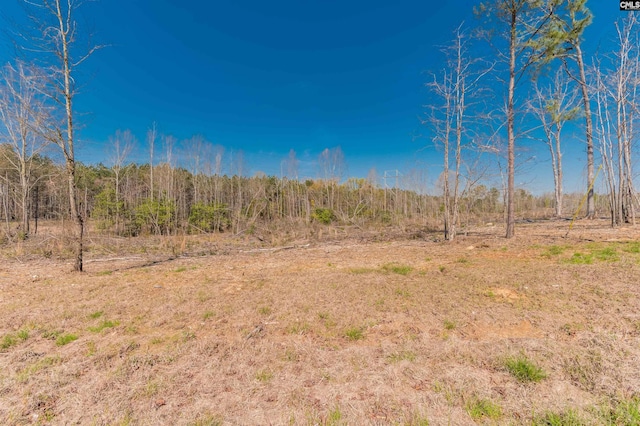 Spann Rd Unit 8, Batesburg SC, 29006 land for sale