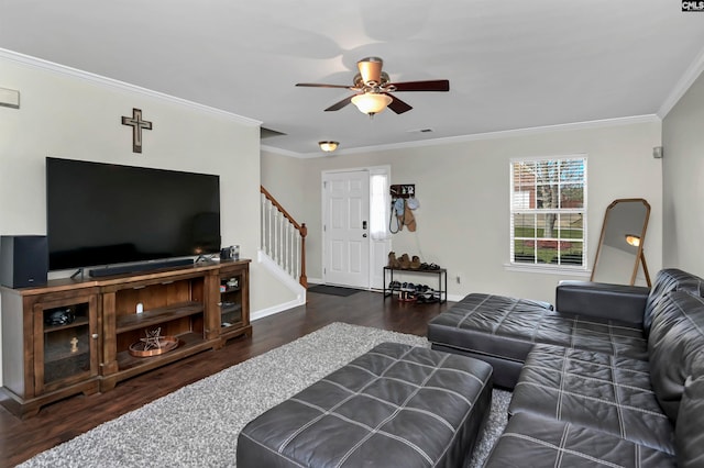 living room featuring ceiling fan, crown molding, and dark wood-type flooring