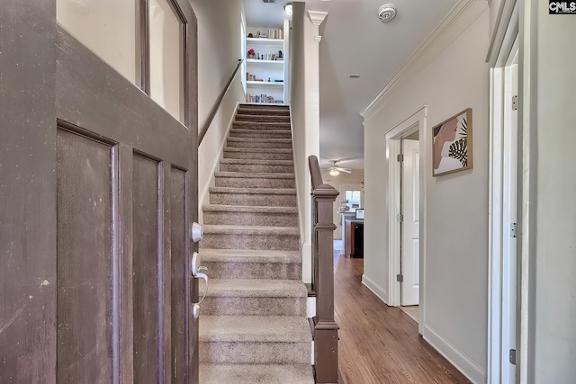 staircase featuring hardwood / wood-style floors, crown molding, and ceiling fan