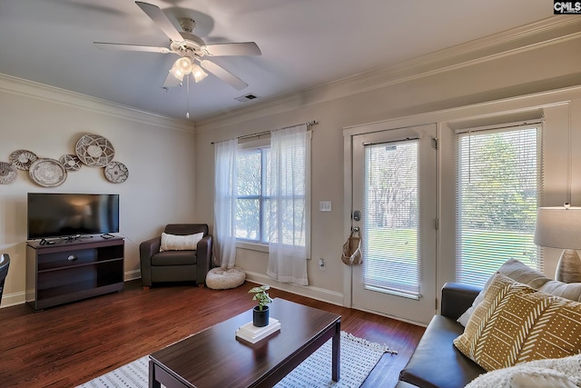 living room with a healthy amount of sunlight, ceiling fan, dark wood-type flooring, and crown molding