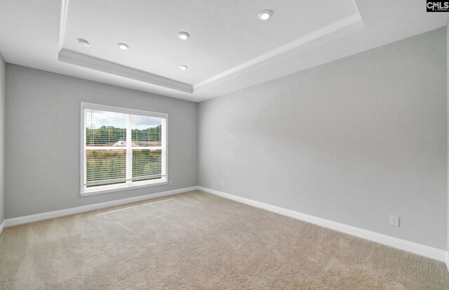 carpeted empty room featuring a tray ceiling