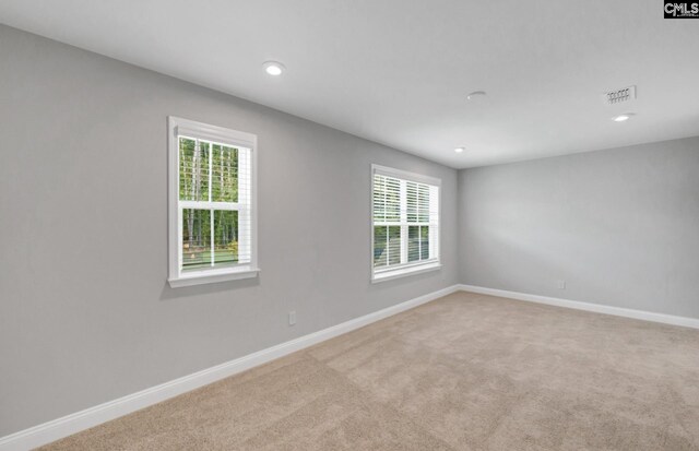 carpeted empty room featuring plenty of natural light