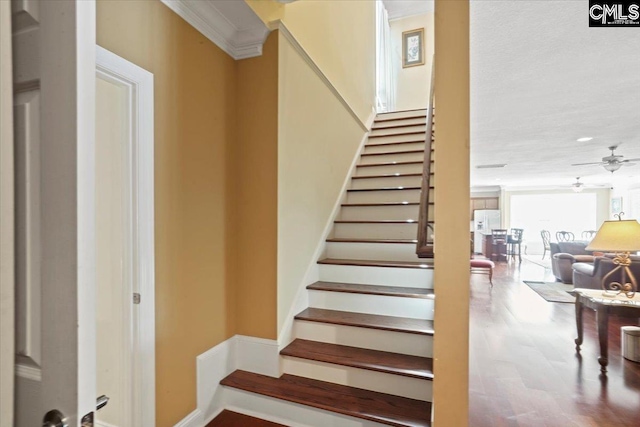 staircase with wood-type flooring, ceiling fan, and crown molding