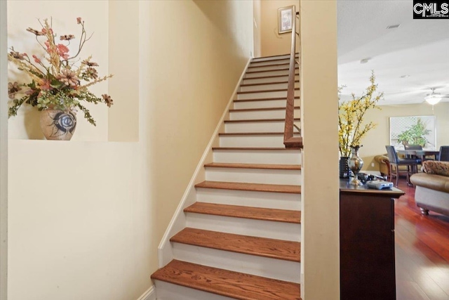 staircase featuring wood-type flooring