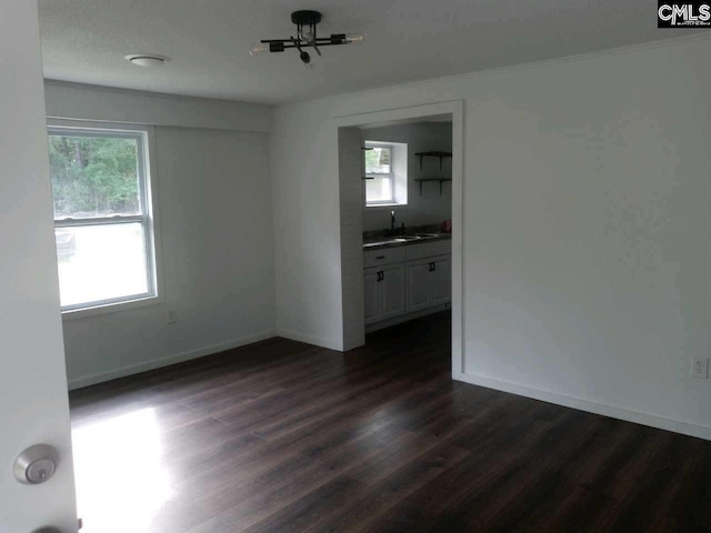 empty room with a wealth of natural light, dark hardwood / wood-style floors, and sink