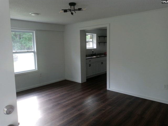 empty room with sink, a healthy amount of sunlight, and dark hardwood / wood-style floors