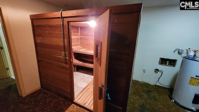 view of sauna / steam room featuring carpet flooring