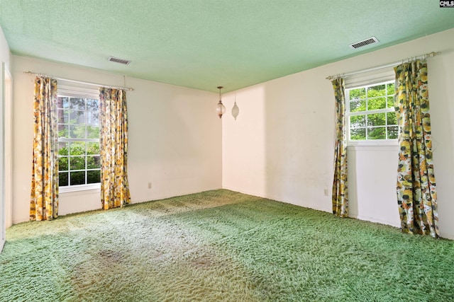 spare room with carpet flooring and a textured ceiling