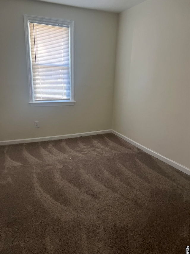 spare room featuring carpet