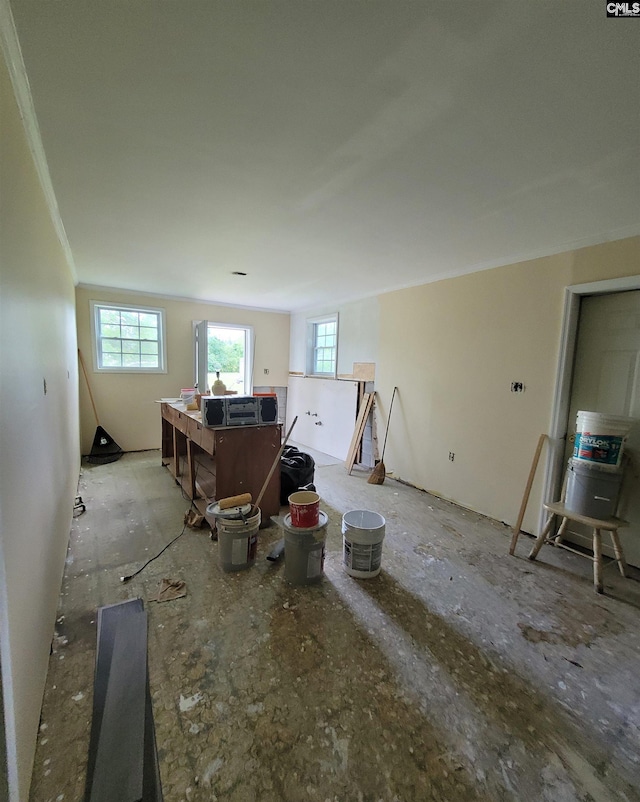 interior space featuring a healthy amount of sunlight and ornamental molding