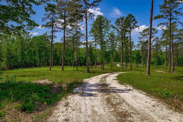 Listing photo 2 for 1626-05 Sumter Hwy Lot 5, Rembert SC 29128