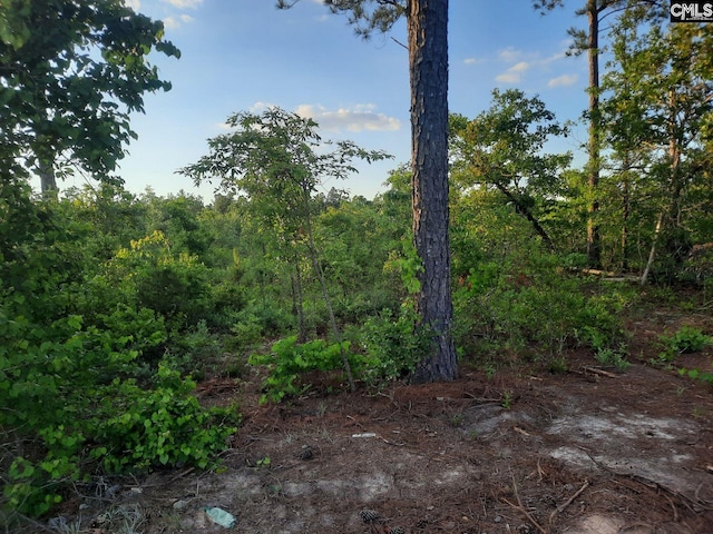 Listing photo 3 for TBD Hutto Pond Rd, Aiken SC 29805