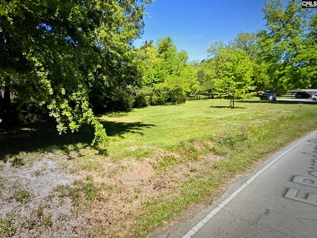 E Boundary St, Chapin SC, 29036 land for sale