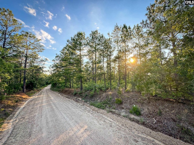 Listing photo 2 for 340 Tarpon Rd Lot 8, Leesville SC 29070