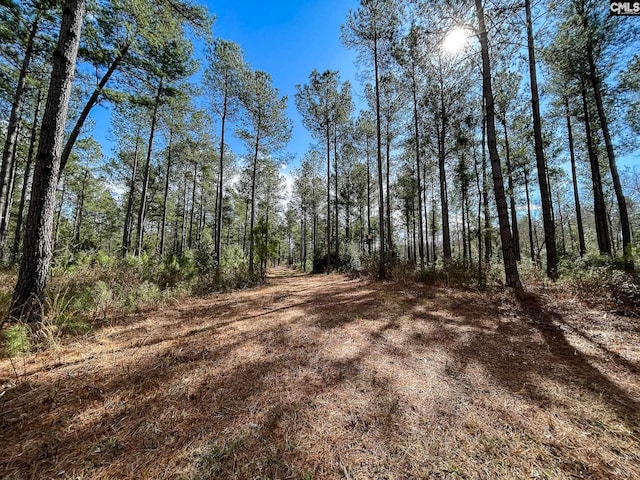 Listing photo 3 for 340 Tarpon Rd Lot 8, Leesville SC 29070