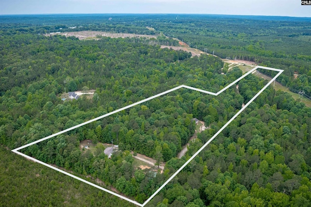 bird's eye view with a forest view