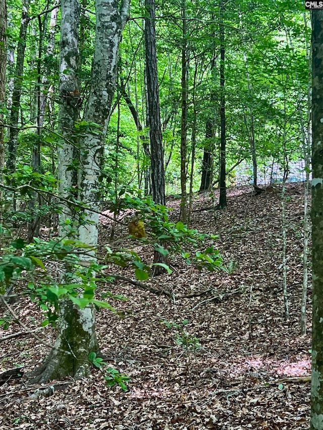 view of local wilderness featuring a forest view