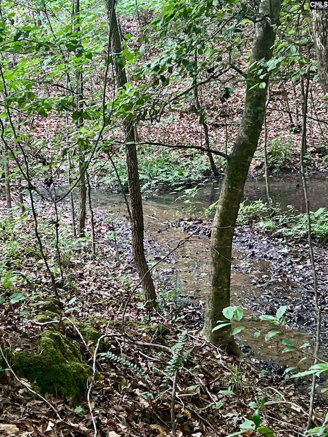 view of local wilderness featuring a water view