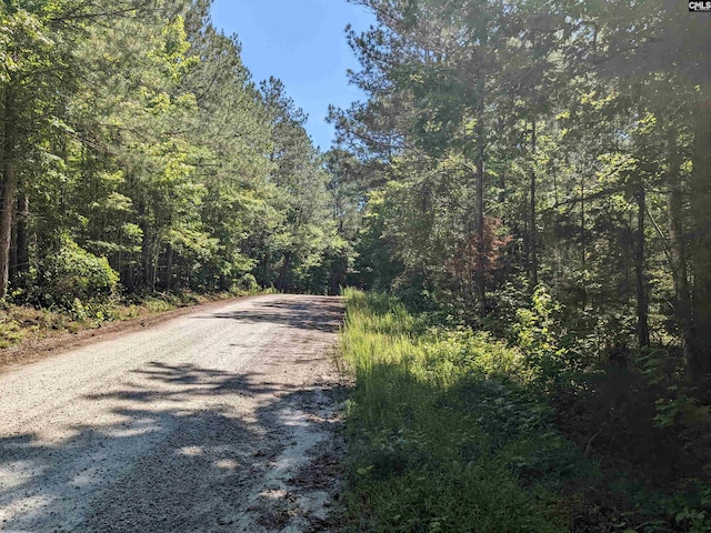 Osbourne Ln, Ridgeway SC, 29130 land for sale