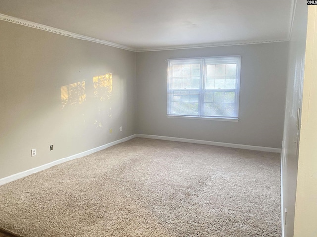 carpeted empty room with ornamental molding and baseboards