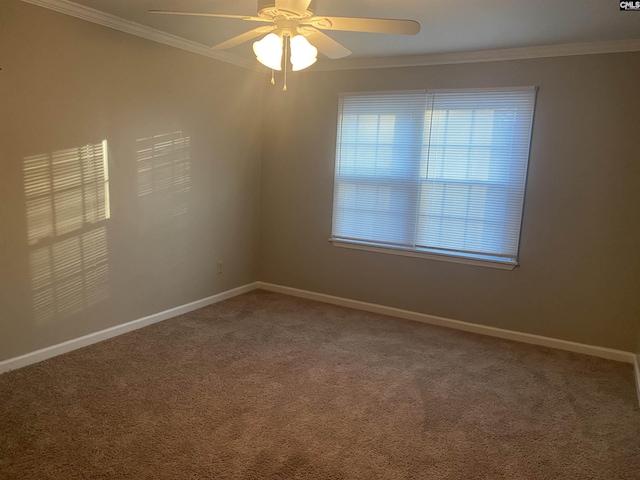 empty room with carpet, baseboards, and crown molding